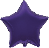 301500L-Star-Violet