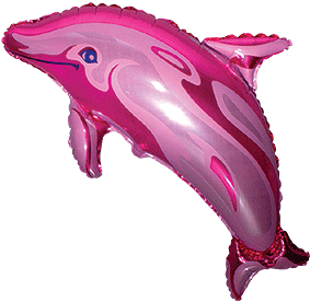 901546F-Dolphin-Fuchsia